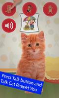 Talking & Dancing Cat স্ক্রিনশট 3