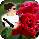 Rainy Rose Photo frame APK