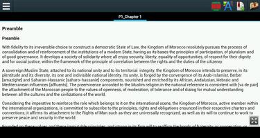Constitution of Morocco 海报
