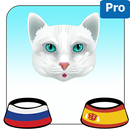 Blue Eyes Cat With Achille Predict Who Win Cup APK