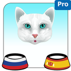 Blue Eyes Cat With Achille Predict Who Win Cup-icoon