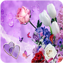 Flower Images APK