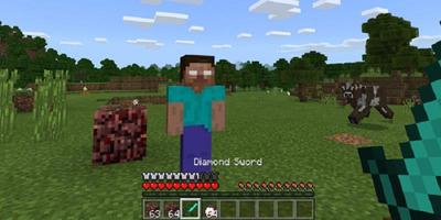 MOD Herobrine capture d'écran 1