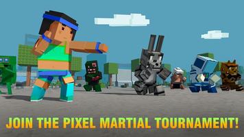 Blocky Ninja Kung Fu Fighting Plakat