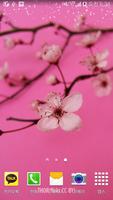 진한핑크벚꽃배경 海报