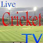 Live Cricket TV Score Update icône