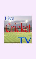 Live Cricket TV Score Update Affiche