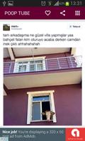 Poop Tube скриншот 1