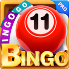 Bingo icon