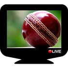 Sports TV All Channels HD ! icon