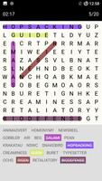 Word Search Game poster