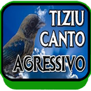 Canto de Tiziu Agresivo 2018 APK