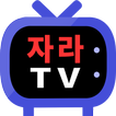 인터넷방송 자라티비 ( 실시간방송 여캠 BJ 개인방송 )