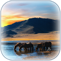 Mongolia Wallpaper