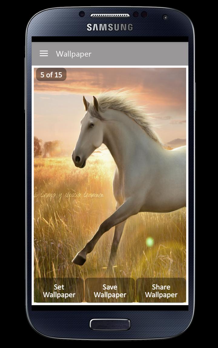 White Horse Wallpaper APK for Android Download White Horse Wallpaper APK for Android Download