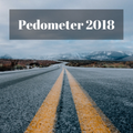 Step counter pedometer 2018