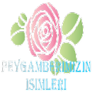 PEYGAMBER EFENDİMİZ APK