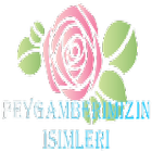 PEYGAMBER EFENDİMİZ アイコン