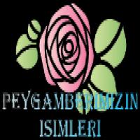 PEYGAMBER EFENDİMİZ ポスター