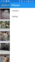 برنامه‌نما photos best cats عکس از صفحه