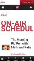 95.7 the Big Pig (WPIG FM) poster