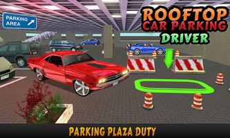 Rooftop Car Parking Driver screenshot 3