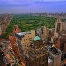 Collection of New York Photos APK