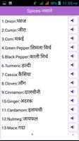 Word Book English to Hindi screenshot 1