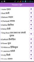 Word Book English to Hindi imagem de tela 3