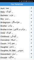 Daily Words English to Persian captura de pantalla 2
