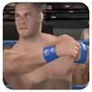 Impact Wrestle Fighting APK