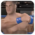 Impact Wrestle Fighting