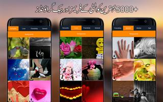 Posto - Urdu Text Editor capture d'écran 3