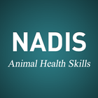 Nadis SQP أيقونة