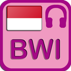 Banyuwangi Radio Station icon