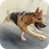 APK My Zombie Dog Free Simulator