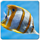 Aquarium Live Wallpapers icono