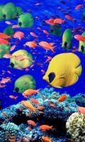 Aquarium Live Wallpapers Plakat