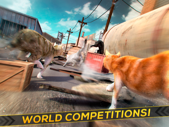  3D  Cat  Simulator  Game For Free APK 1 0 1 Download for 