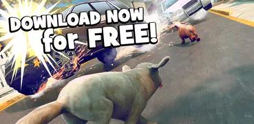 狗狗 模擬 2017年 . 我的 免費 遊戲 的 該 狗世界