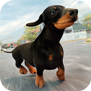 Hunde-Simulator 2017 APK