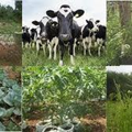 ”smart farmer app