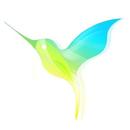 APK LIVEsurf