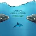 Blue Whale videos 360
