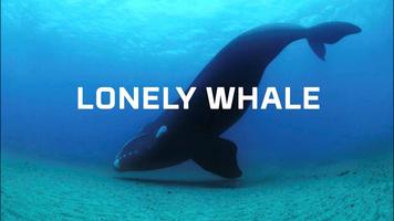 برنامه‌نما Blue Whale videos 360 عکس از صفحه