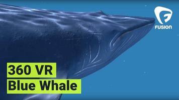 Blue Whale videos 360 capture d'écran 2
