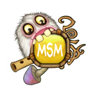 Guide for MSM-icoon