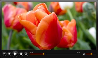 MPlayer Android پوسٹر