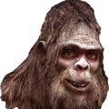 Sasquatch Live Wallpaper