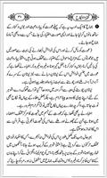 Ideal Suhag Raat: Urdu capture d'écran 3